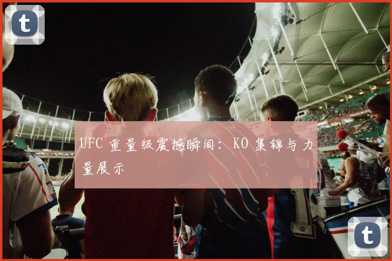 UFC 重量级震撼瞬间:KO 集锦与力量展示