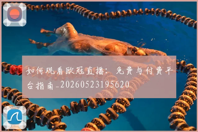 如何观看欧冠直播：免费与付费平台指南_20260523195620
