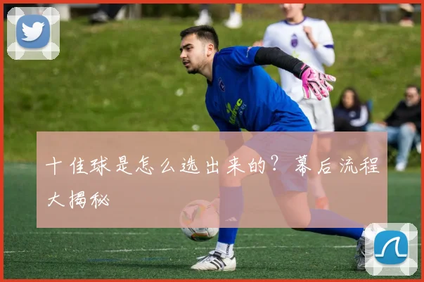 十佳球是怎么选出来的？幕后流程大揭秘